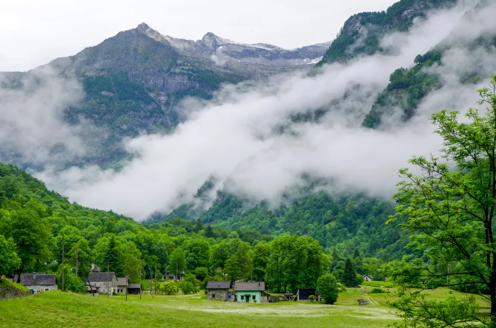 Blissful Kashmir