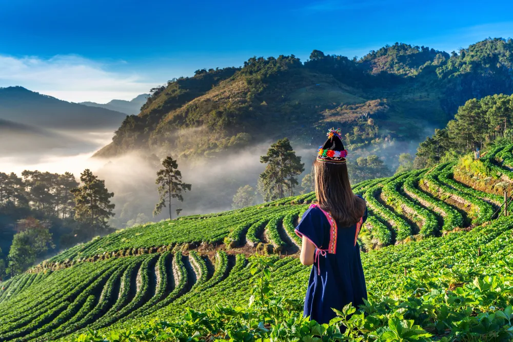 Exotic Kerala