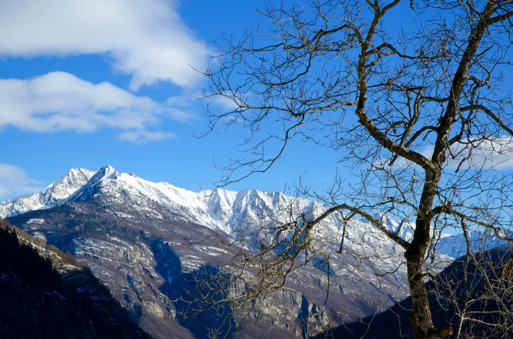 Exciting Himalayas