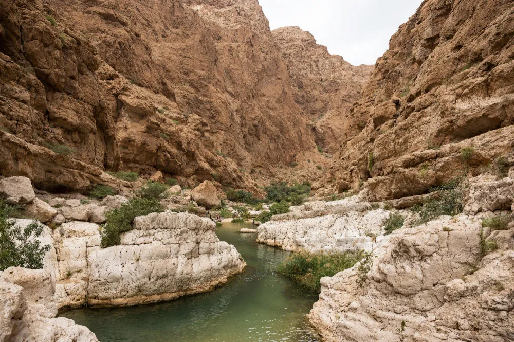 Exotic Oman