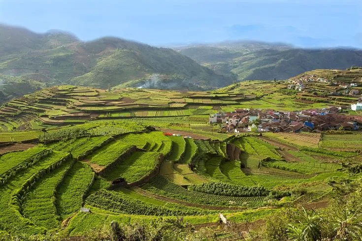 Hills of South India