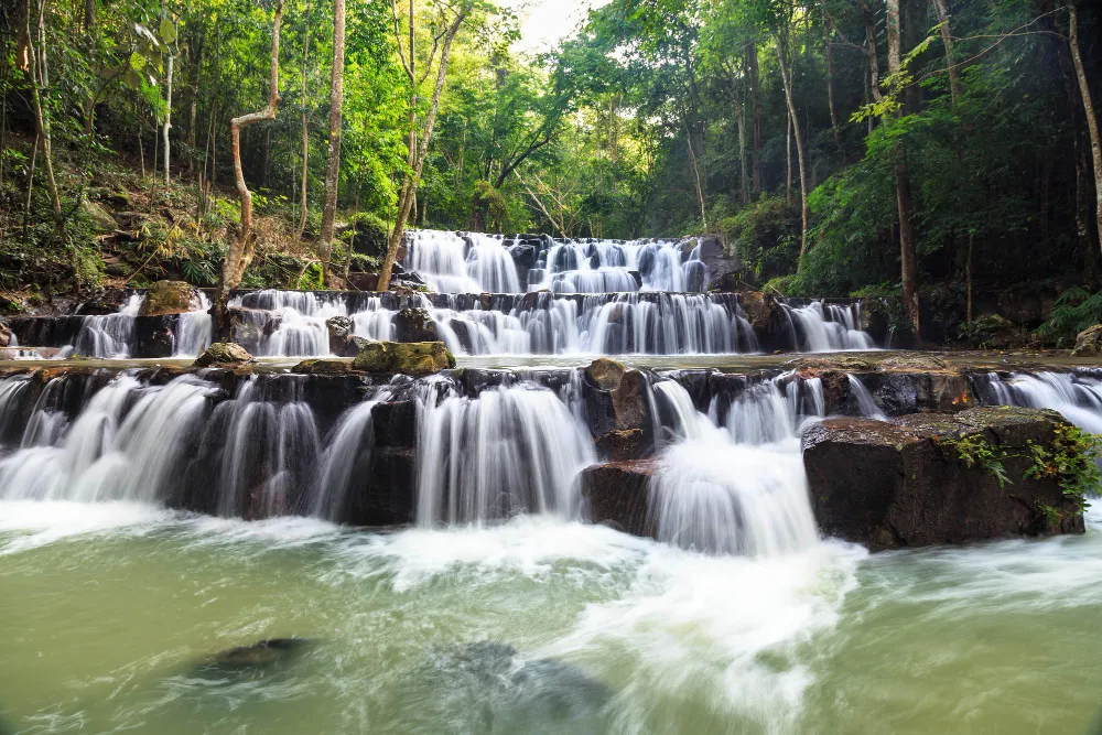 Mesmeric Krabi